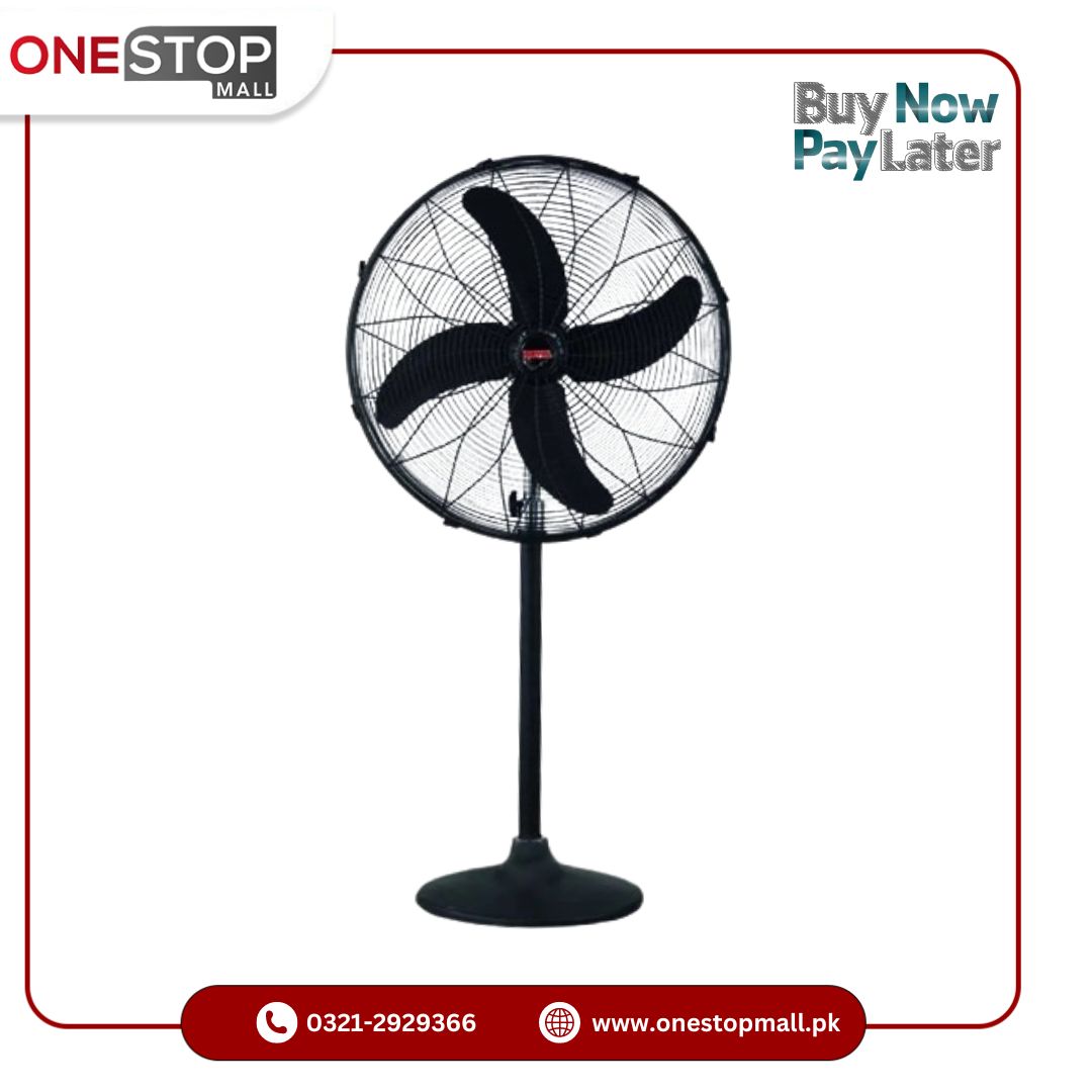 Royal Pedestal Fan 24 Inch Model Hi Standard Copper Winding 3 Speed Heavy Duty Motor Brand Warranty